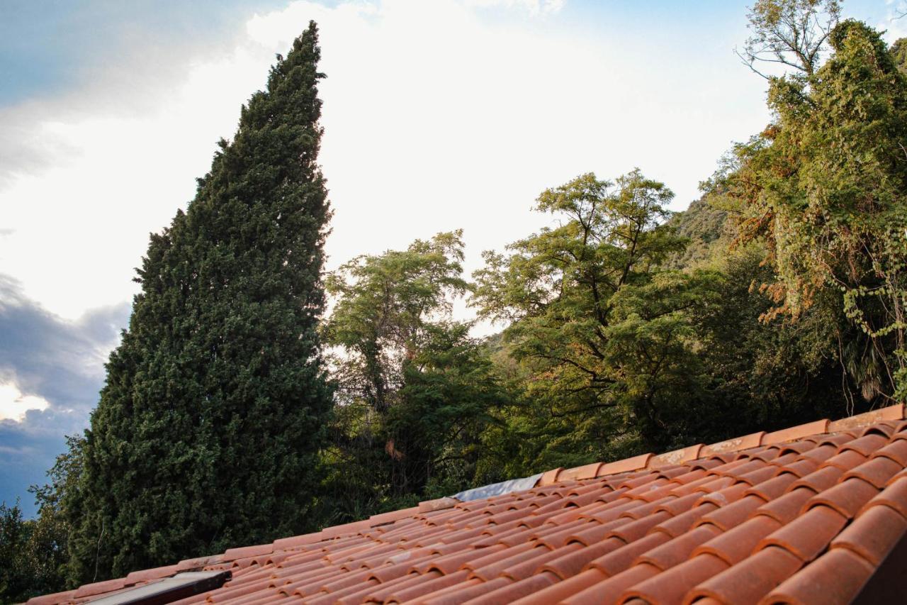 Villa Bertacchi - Inside And Out Como Exterior photo